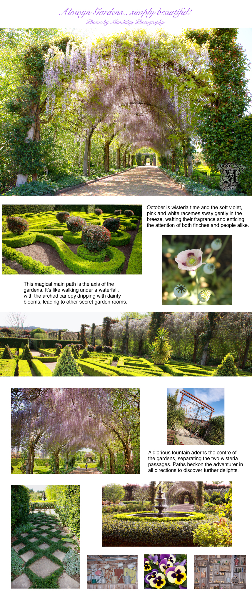 Alowyn Gardens - beautiful Spring photos by Mandalay Photography