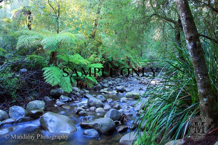 Yarra Valley stock photo - Mandalay Photography