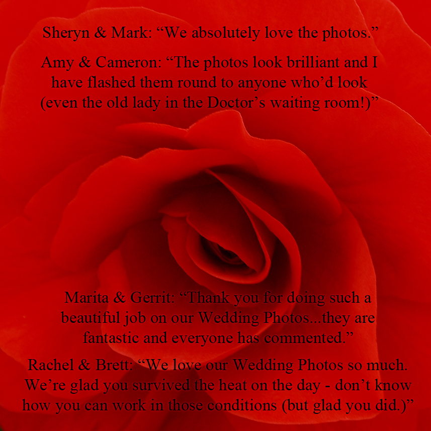 Mandalay Photography Wedding Client Testimonials