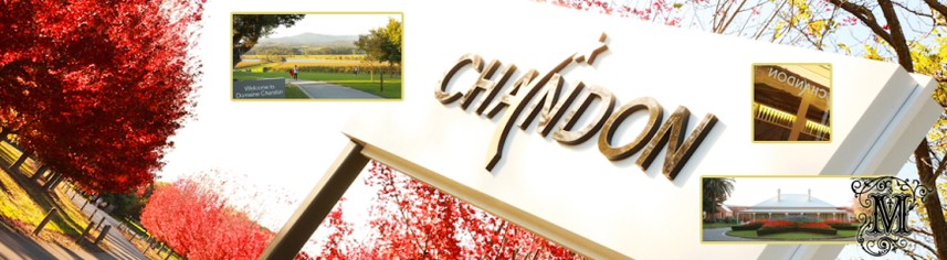 Promotional photo, Yarra Valley Winery|Domaine Chandon - Mandalay Photography