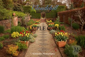Cloudehill, Dandenong Ranges stock photo - Mandalay Photography