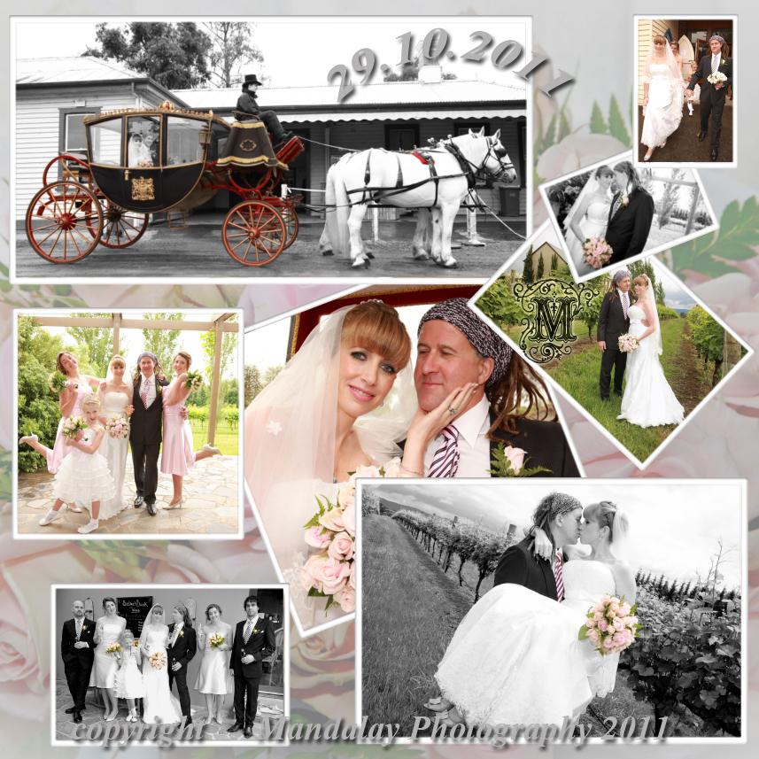 Yarra Valley Winery Wedding Photos by Mandalay Photography at Badger's Brook Winery
