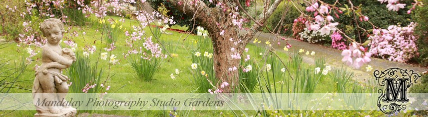 Mandalay Photography Studio Gardens, Healesville in the Yarra Valley Mandalay Photography Studio Gardens, Healesville in the Yarra Valley